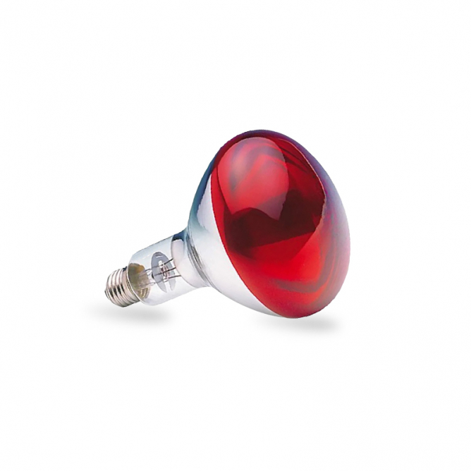 Infra red sijalica sa abažurom crvene boje, snaga 150w, sa E27 grlom.