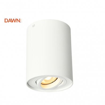 Plafonska spot lampa, bele boje, GU10 grlo
