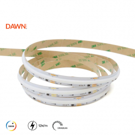 LED TRAKA SPI 24V 12W/m 3000K IP20 (COB-360D-WW, 5met, 10mm)