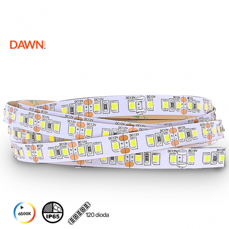 LED traka snage 12W, sa 120 dioda, emituje hladno belo svetlo, u IP65 zaštiti