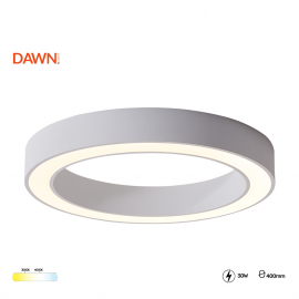 VESTA 679 PLAFONSKA SVETILJKA 30W 3000/4000K BELA