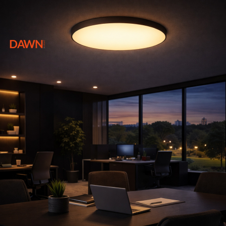 VESTA 350 PLAFONSKA SVETILJKA 30W 3000/4000K CRNA